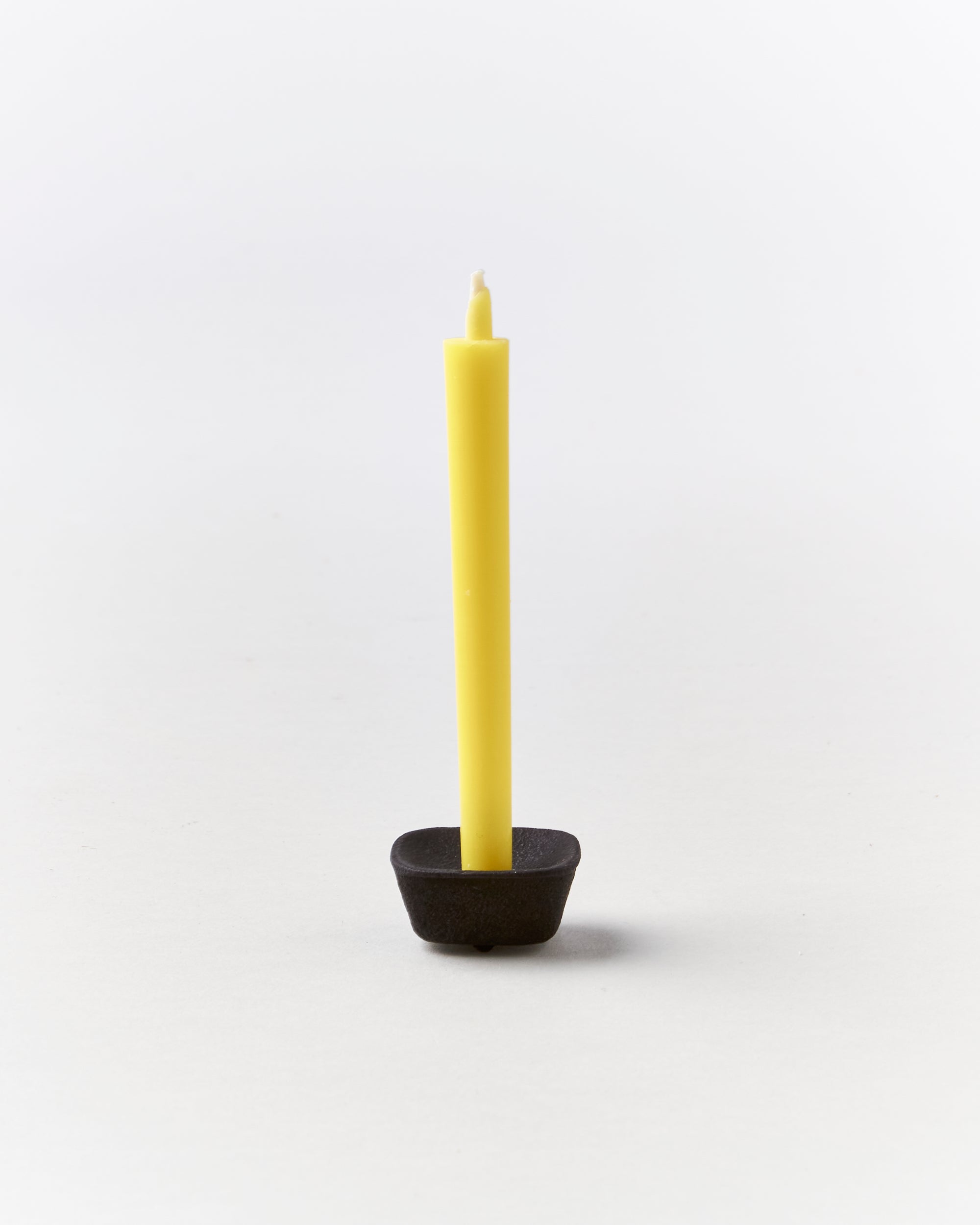tetragona candleです。 nanohana-canola-flower-