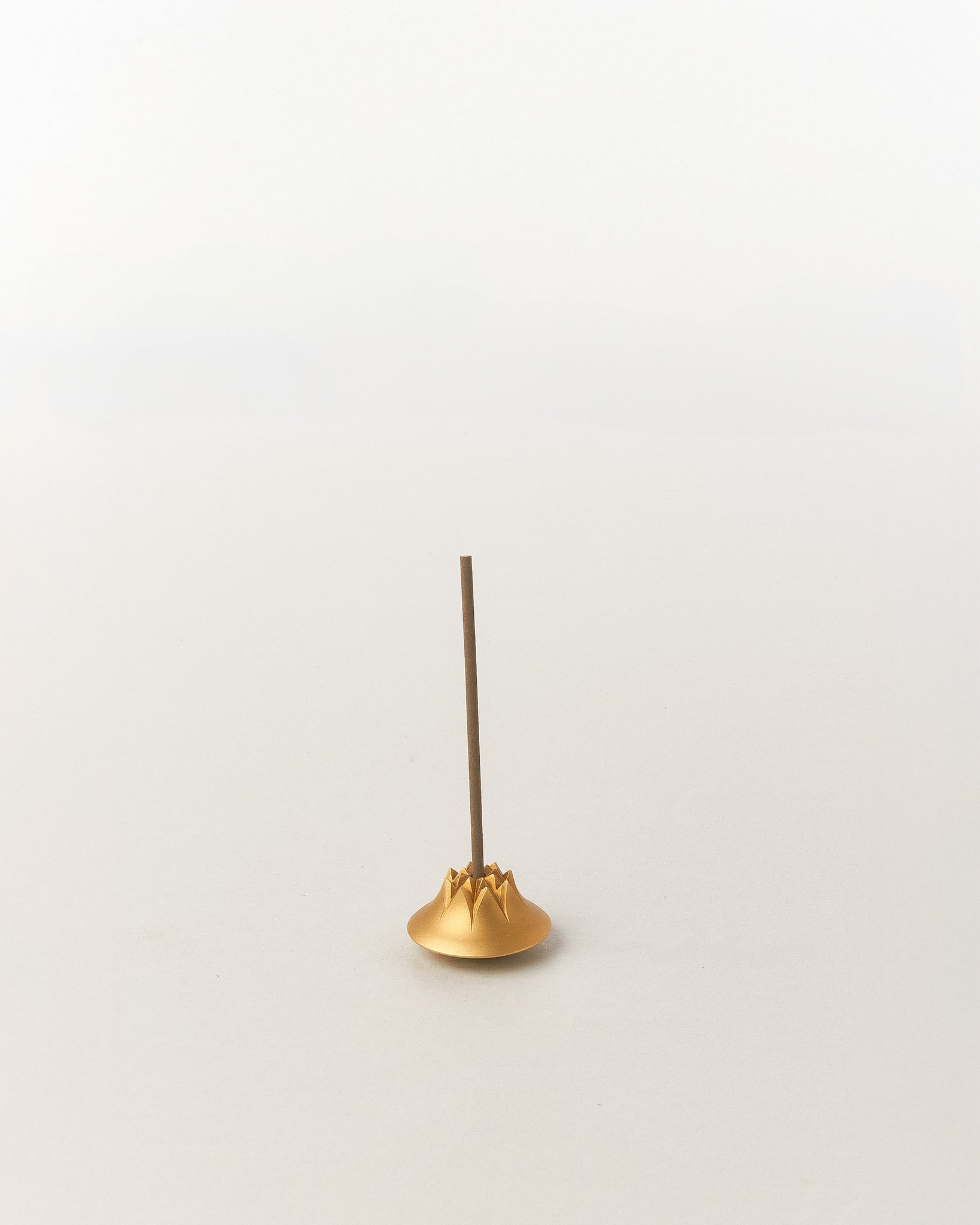 Agave Incense Holder