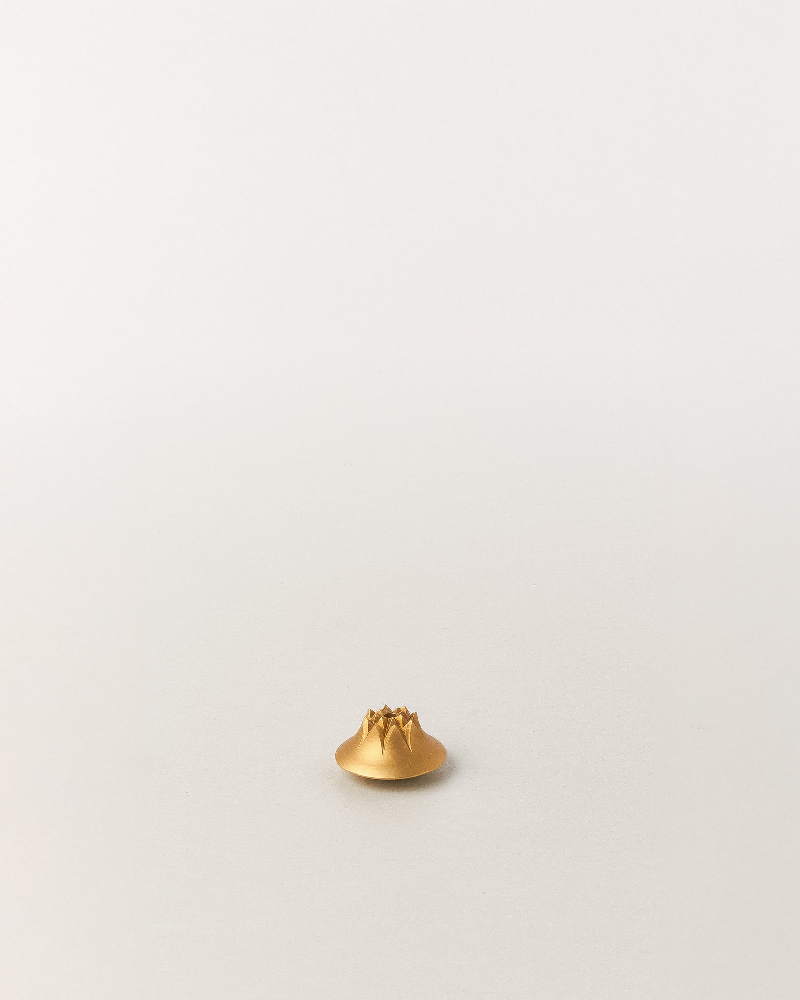 Agave Incense Holder