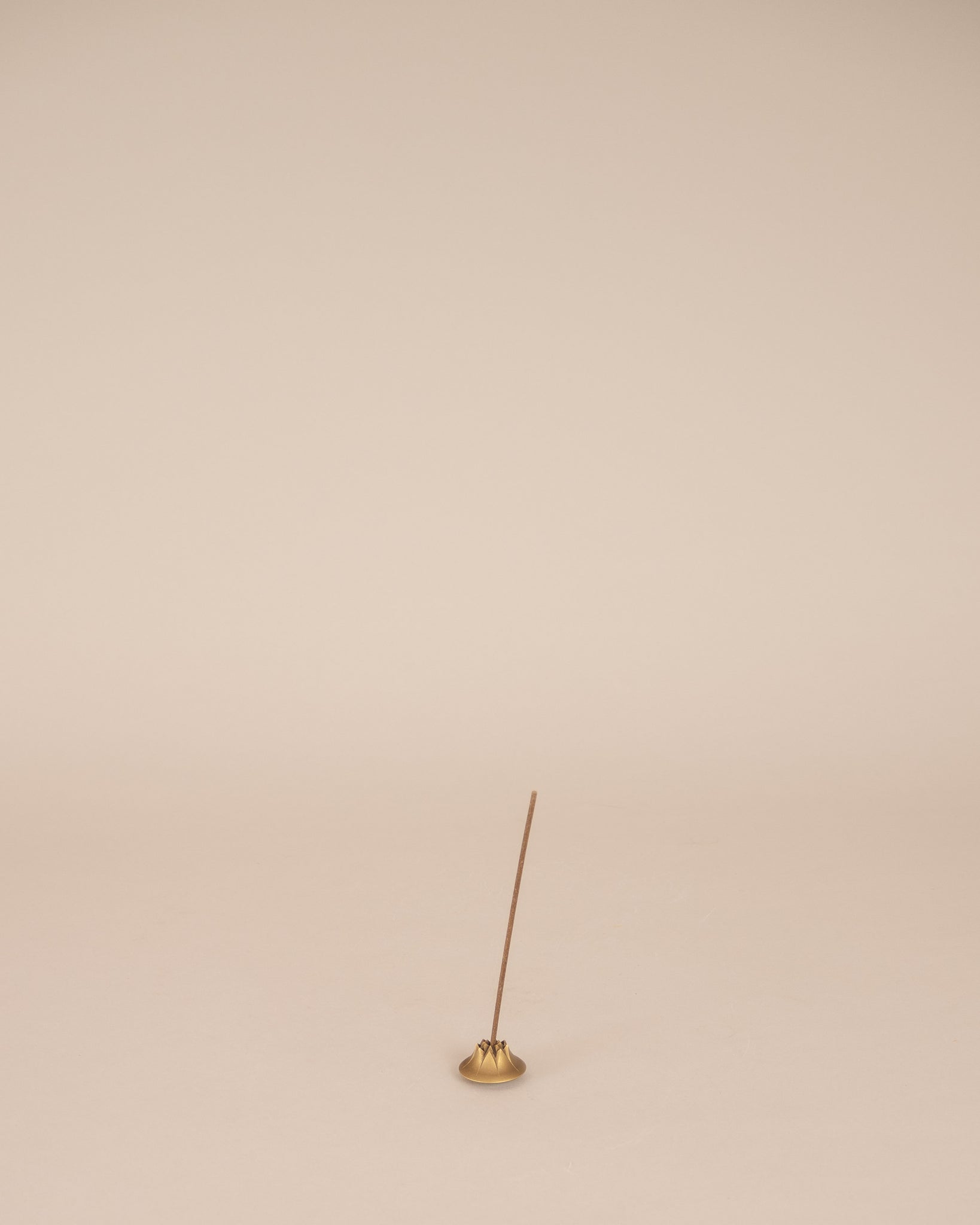 Agave Incense Holder