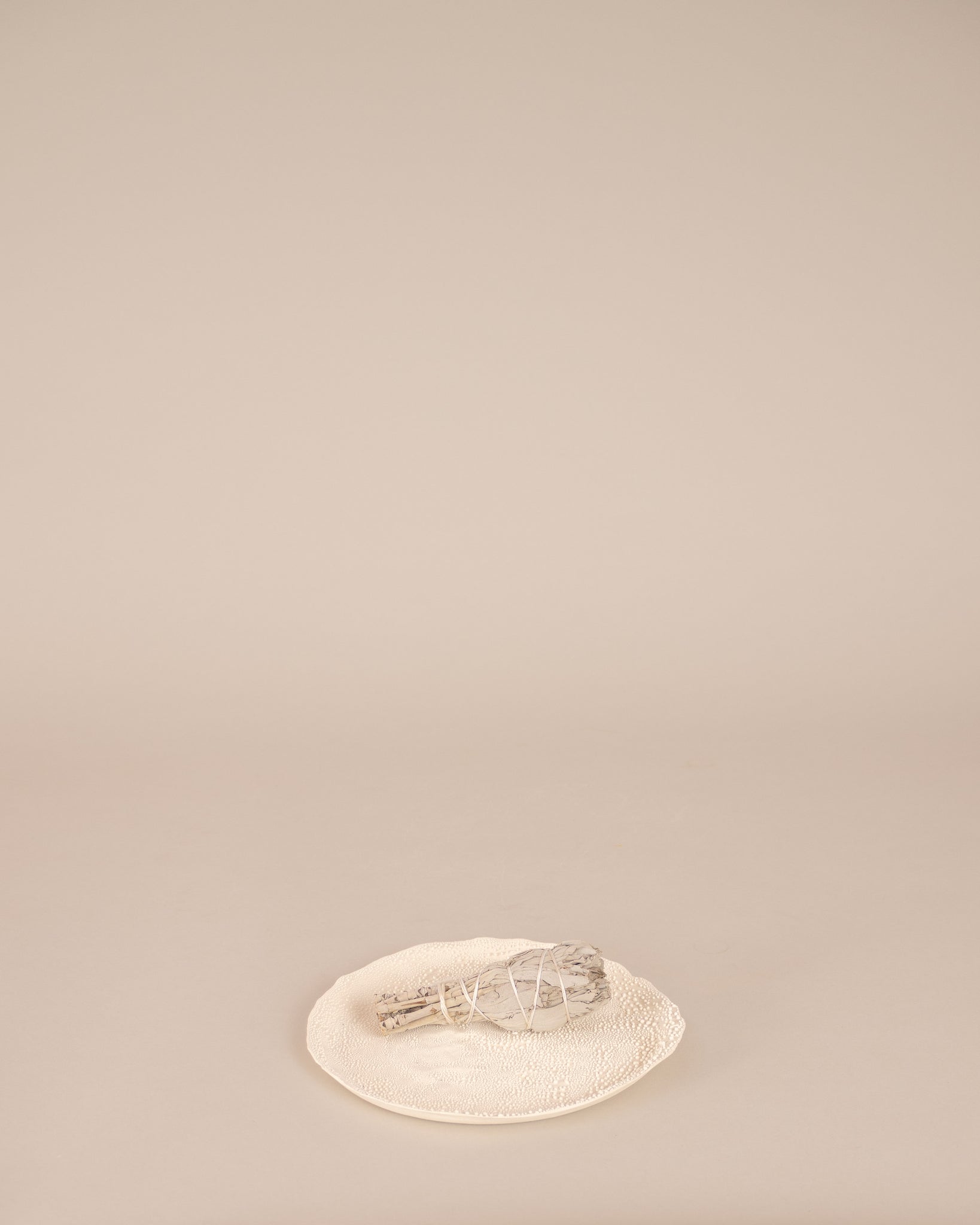 Plate with Raised Rim
