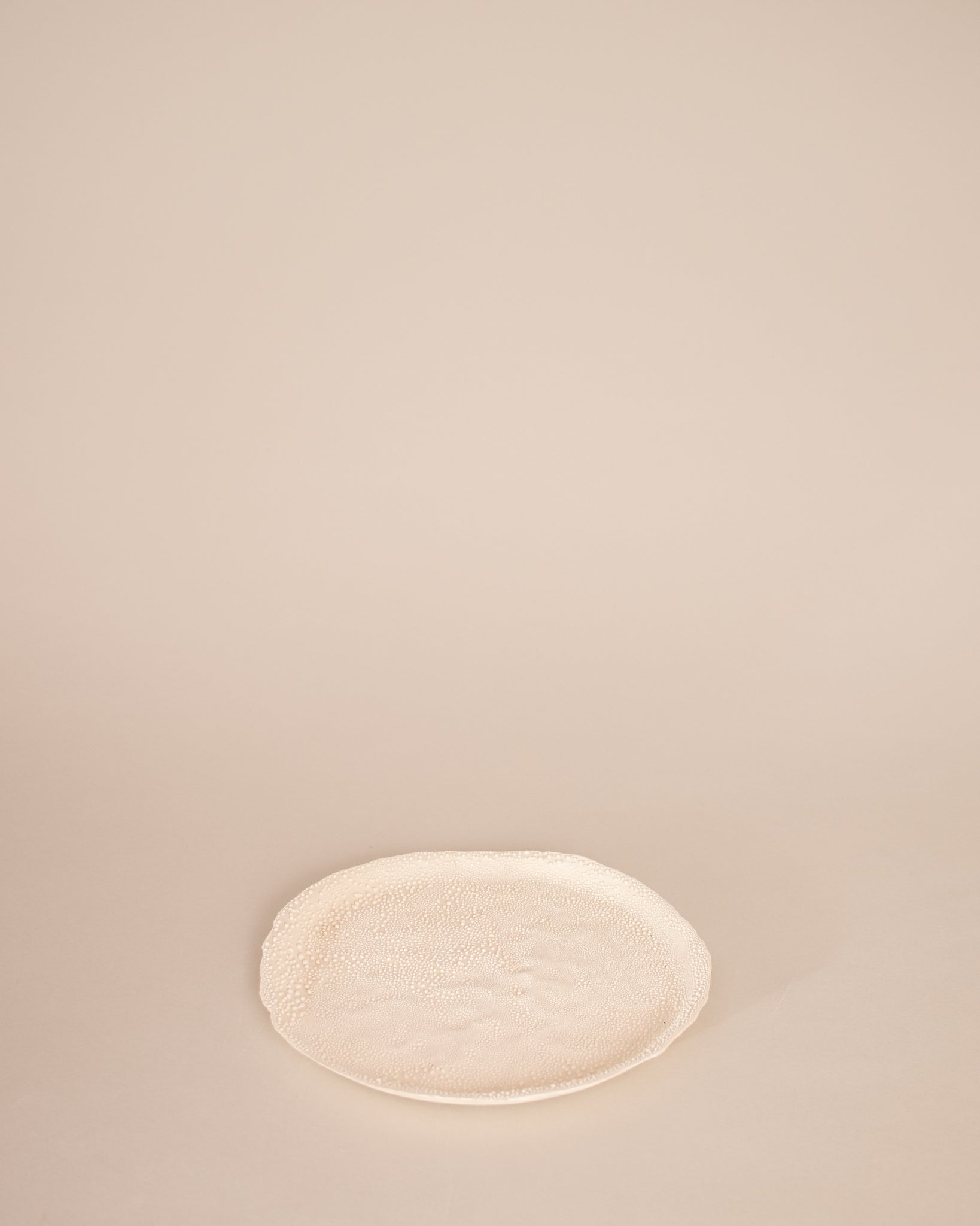Plate with Raised Rim