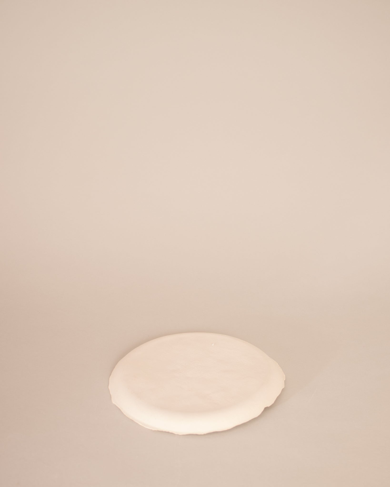Plate with Raised Rim
