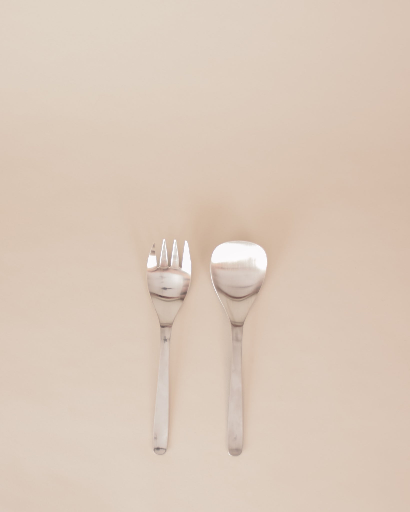 Stainless Steel Serving Set