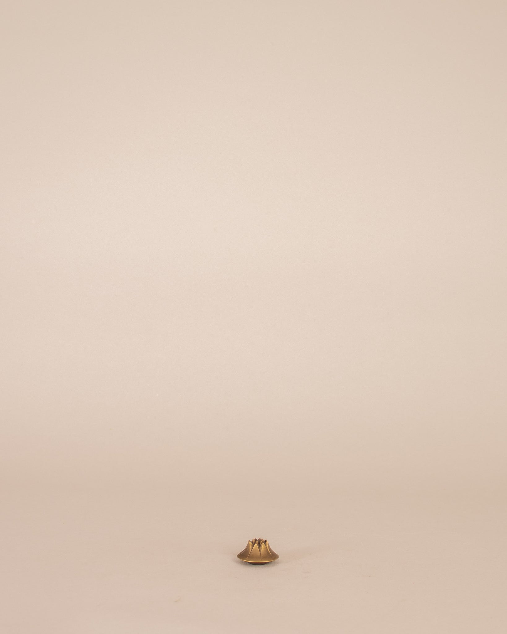 Agave Incense Holder
